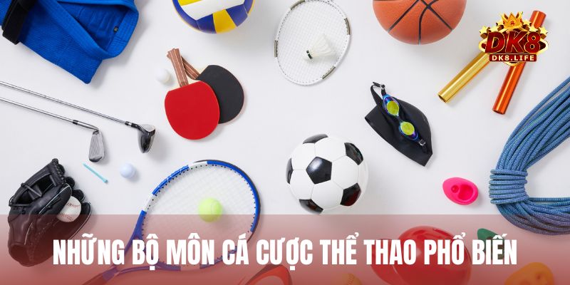 Những bộ môn cá độ thể thao được yêu thích nhất trong hệ thống cá cược
